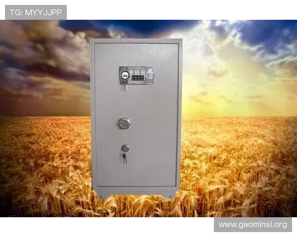 凯发k8国际首页登录网页版最新安全策略,确保每一位玩家的账户信息安全无忧 凯发k8国际首页登录网页版最新安全策略,确保每一位玩家的账户信息安全无忧